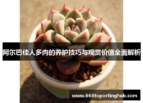 阿尔巴佳人多肉的养护技巧与观赏价值全面解析